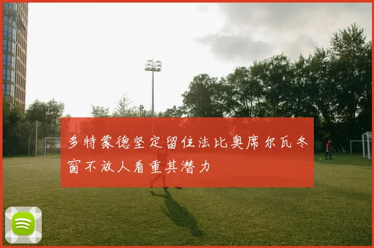 多特蒙德坚定留住法比奥席尔瓦冬窗不放人看重其潜力