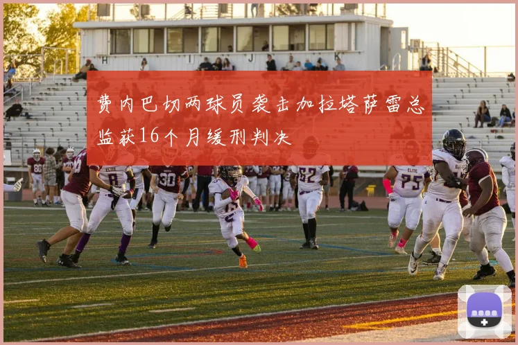 费内巴切两球员袭击加拉塔萨雷总监获16个月缓刑判决